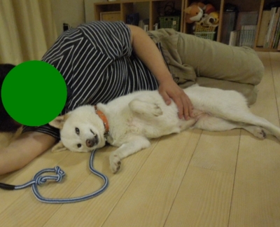 f:id:miyuki1967:20120526093837j:image