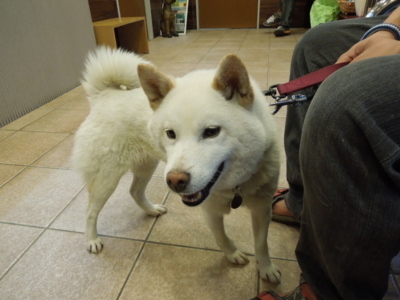 f:id:miyuki1967:20120526184905j:image