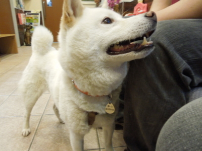 f:id:miyuki1967:20120526184939j:image