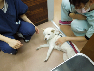 f:id:miyuki1967:20120526185234j:image