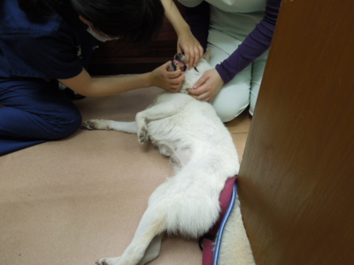 f:id:miyuki1967:20120526185406j:image