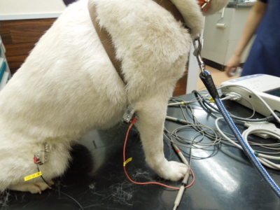 f:id:miyuki1967:20120526190627j:image