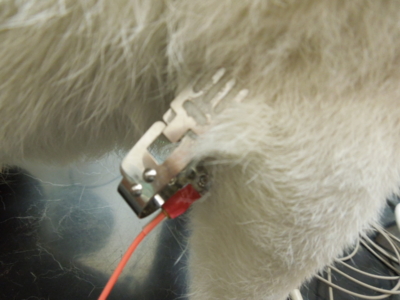 f:id:miyuki1967:20120526190647j:image