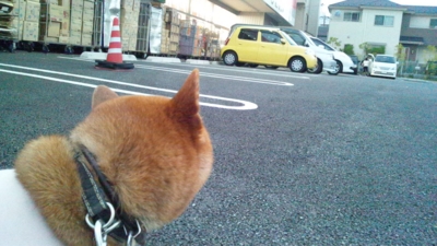 f:id:miyuki1967:20120622185813j:image