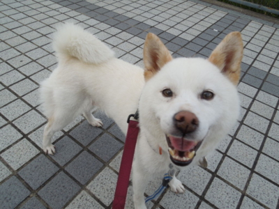 f:id:miyuki1967:20120623181347j:image