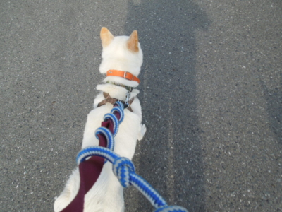 f:id:miyuki1967:20120627065533j:image