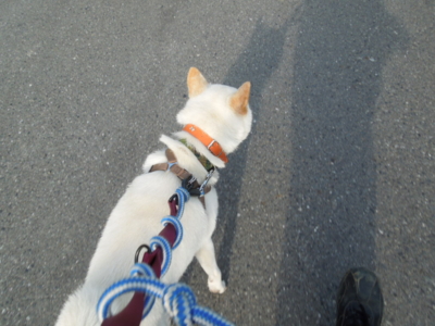 f:id:miyuki1967:20120627065535j:image