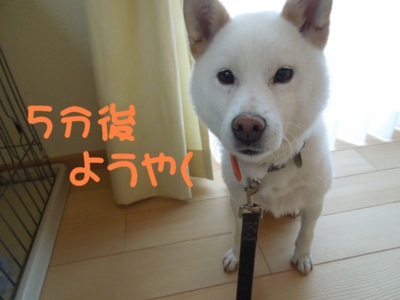 f:id:miyuki1967:20120628104017j:image