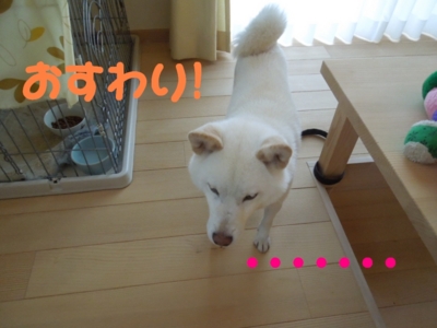 f:id:miyuki1967:20120628104018j:image