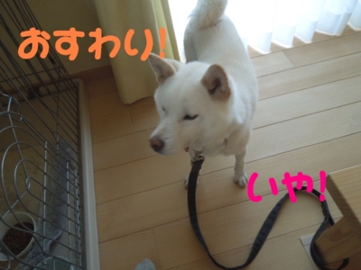 f:id:miyuki1967:20120628104019j:image