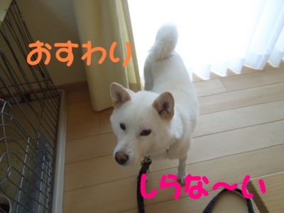 f:id:miyuki1967:20120628104020j:image