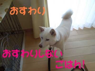 f:id:miyuki1967:20120628104021j:image