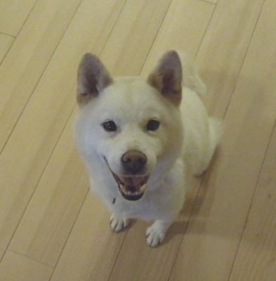 f:id:miyuki1967:20120709111657j:image:w250