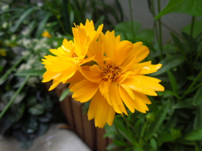 f:id:miyuki1967:20120719081512j:image