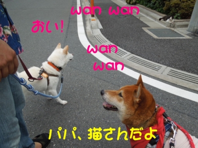 f:id:miyuki1967:20120719092802j:image