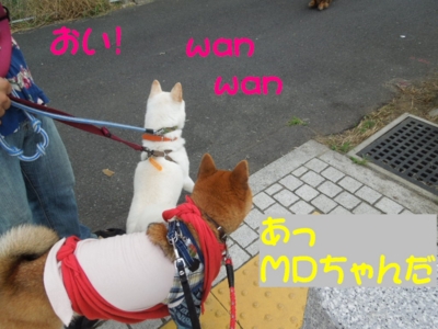 f:id:miyuki1967:20120719092804j:image