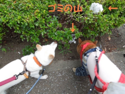 f:id:miyuki1967:20120719092805j:image