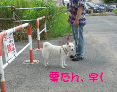 f:id:miyuki1967:20120719092806j:image