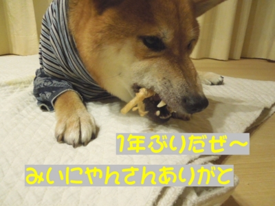 f:id:miyuki1967:20120727095309j:image