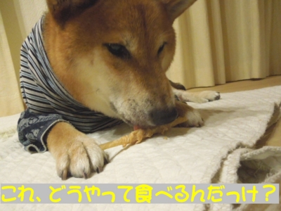 f:id:miyuki1967:20120727100320j:image