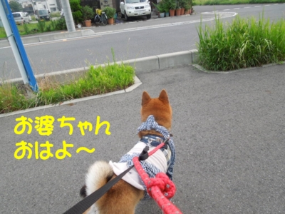 f:id:miyuki1967:20120727102027j:image