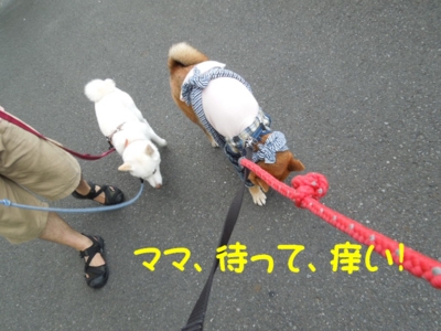 f:id:miyuki1967:20120727102203j:image