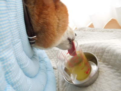 f:id:miyuki1967:20120728072548j:image