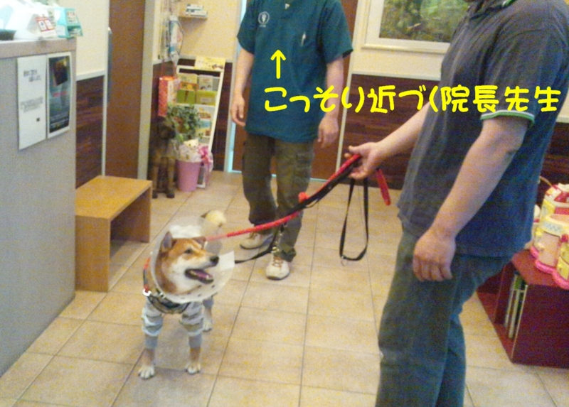 f:id:miyuki1967:20120905113021j:image:w400