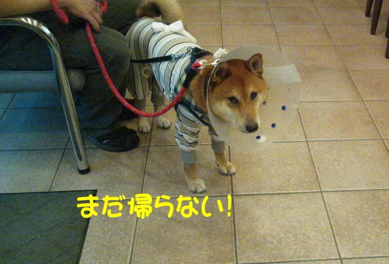 f:id:miyuki1967:20120905113349j:image:w400