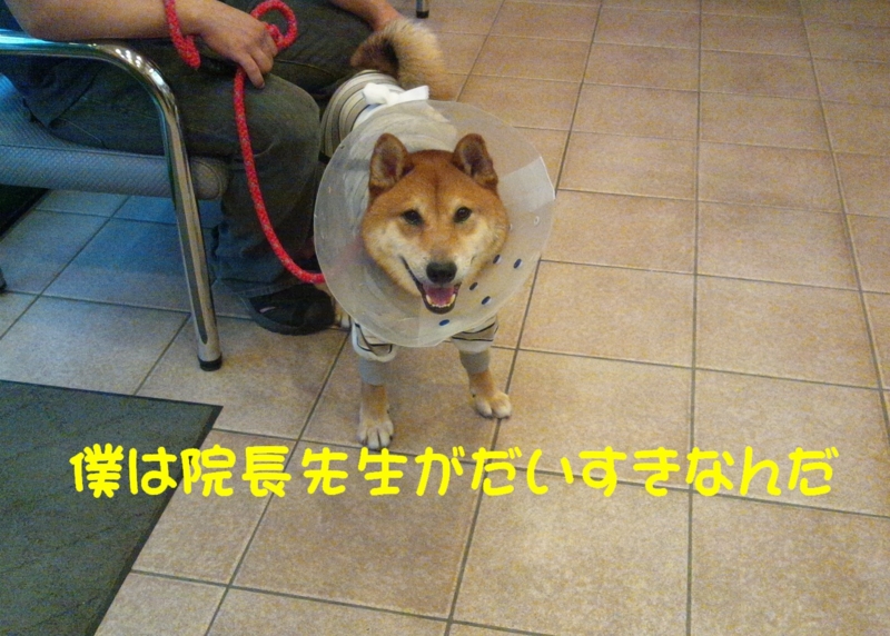 f:id:miyuki1967:20120905113351j:image:w400