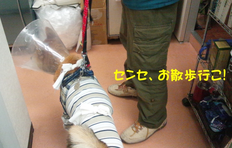 f:id:miyuki1967:20120905113353j:image:w400