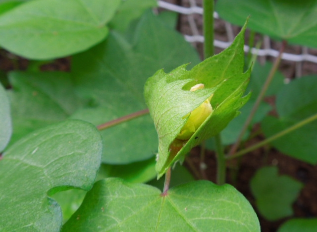 f:id:miyuki1967:20120906113100j:image:w400