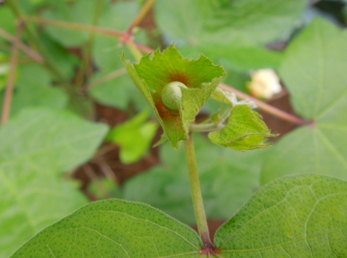 f:id:miyuki1967:20120906113103j:image:w400