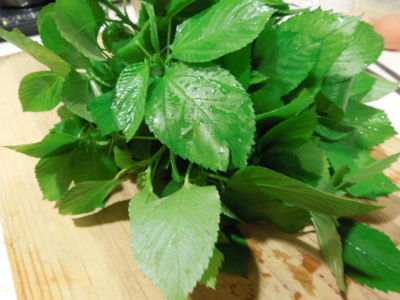 f:id:miyuki1967:20120906175545j:image