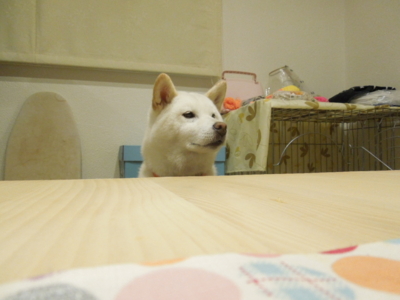 f:id:miyuki1967:20120907220435j:image f:id:miyuki1967:20120907220435j:image