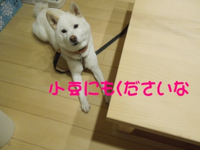 f:id:miyuki1967:20120908093341j:image f:id:miyuki1967:20120908093341j:image