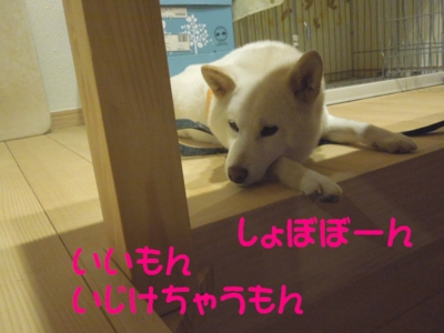 f:id:miyuki1967:20120908093756j:image f:id:miyuki1967:20120908093756j:image