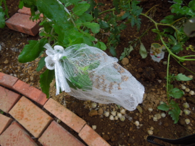 f:id:miyuki1967:20120914082122j:image