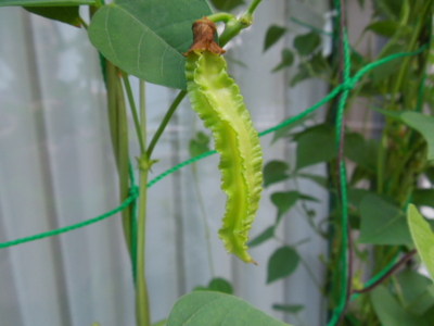 f:id:miyuki1967:20120918055838j:image f:id:miyuki1967:20120918055838j:image