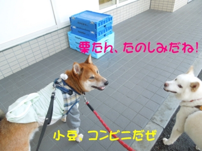 f:id:miyuki1967:20120918093131j:image