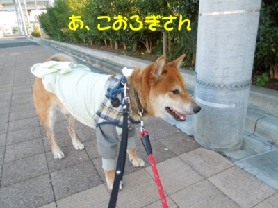 f:id:miyuki1967:20120918101836j:image