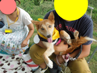 f:id:miyuki1967:20120918105853j:image f:id:miyuki1967:20120918105853j:image