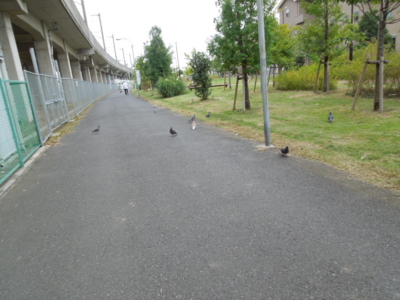 f:id:miyuki1967:20120928065838j:image