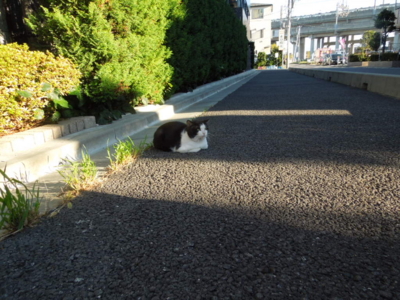 f:id:miyuki1967:20120929070108j:image