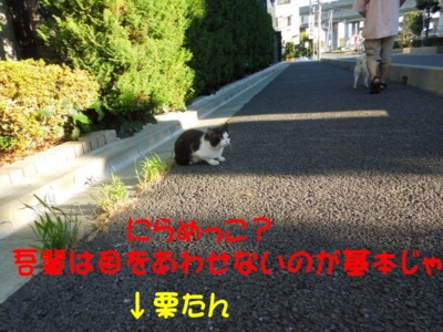 f:id:miyuki1967:20120929103059j:image