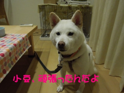 f:id:miyuki1967:20121022093732j:image