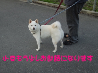 f:id:miyuki1967:20121022094015j:image