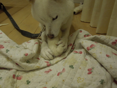 f:id:miyuki1967:20121115213027j:image