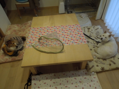 f:id:miyuki1967:20121119080120j:image