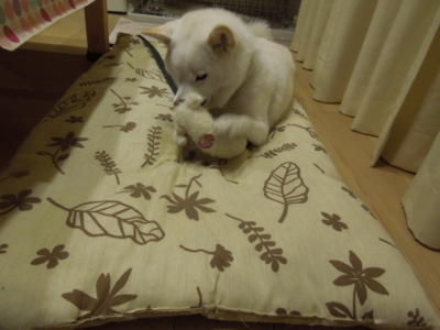 f:id:miyuki1967:20121121214630j:image